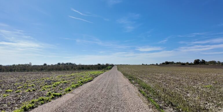 Uređenje atarskih puteva u iriškoj opštini