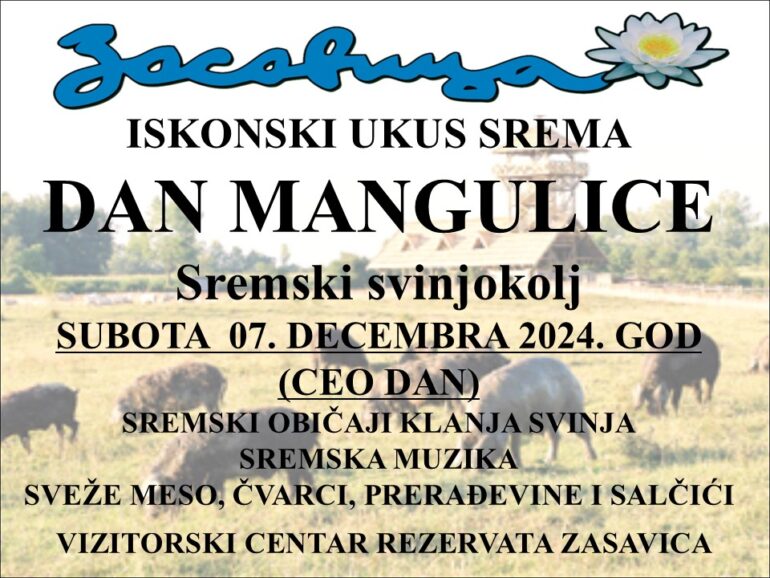 Dan mangulice u subotu