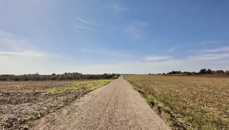 Uređenje puteva oko jezera Borkovac