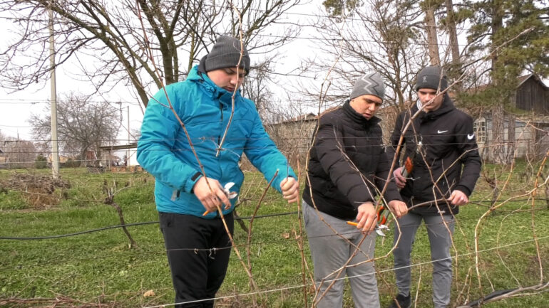 Praznik u školskom vinogradu
