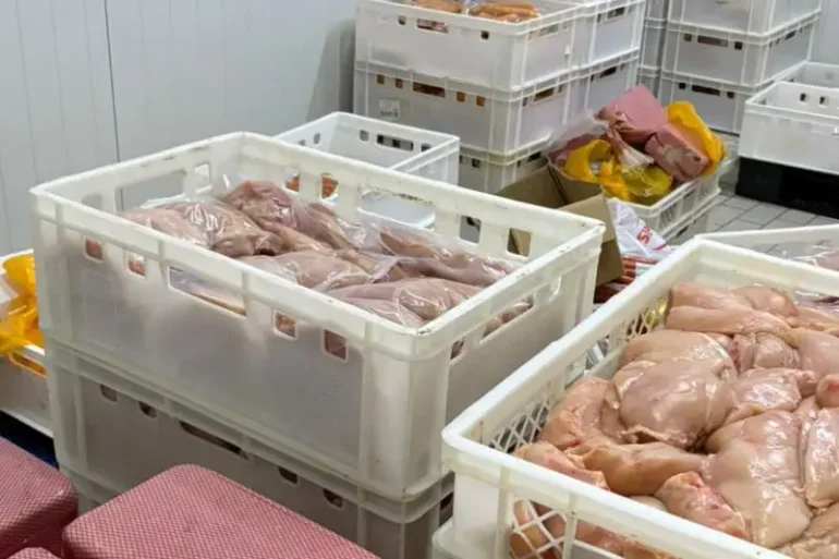 Zaplenjeno 40 tona piletine zaražene salmonelom