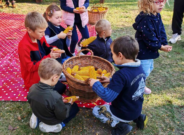 Miholjski susreti sela posvećeni kukuruzu