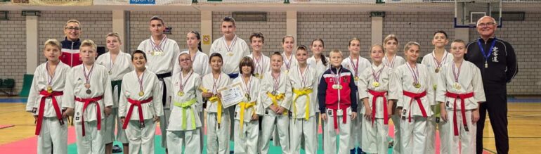 Zlato za Sirmium na Kupu Vojvodine