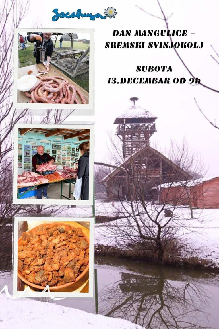Dan mangulice – sremski svinjokolj u subotu, 13. decembra