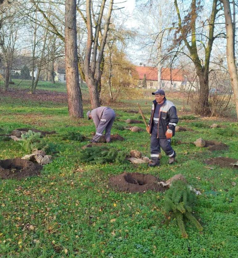 Ozelenjavanje mitrovačkih parkova sa preko 300 sadnica