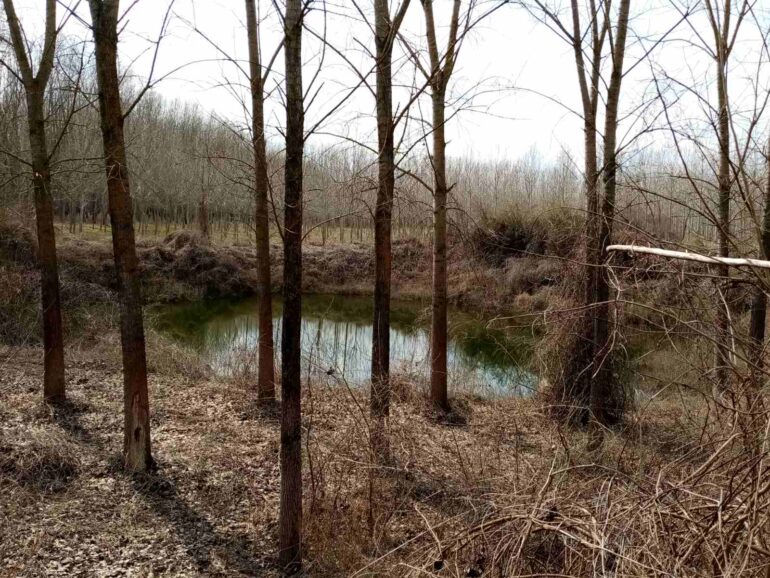 “Vulkan” u Sremskoj Rači