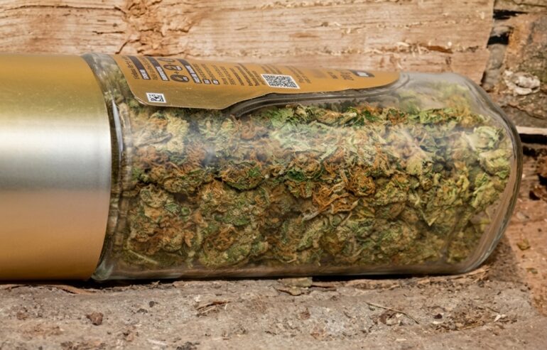 Policijska akcija u Šidu: pronađena droga i kolekcija starih novčića