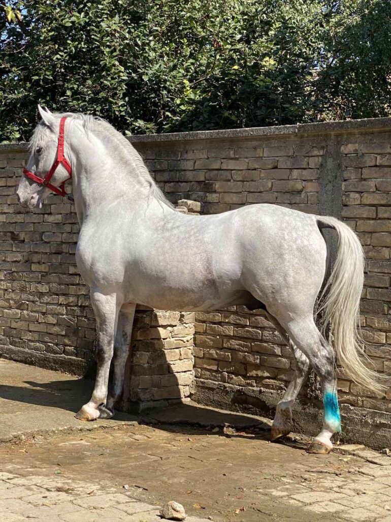 KOMŠIJA PIŠE: Crtajte, deco, mamama