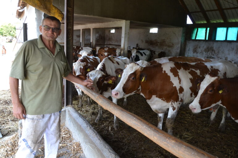 Đorđe Lukić, vlasnik farme muznih krava: Posao traje 365 dana u godini