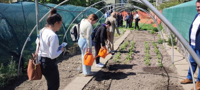 „Baci nešto lepo“ u školskom dvorištu: Ekološka svest na delu, za zeleniju budućnost
