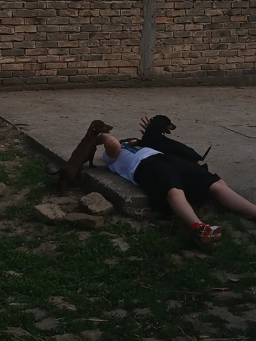 KOMŠIJA PIŠE: Može, kumić moj, može!