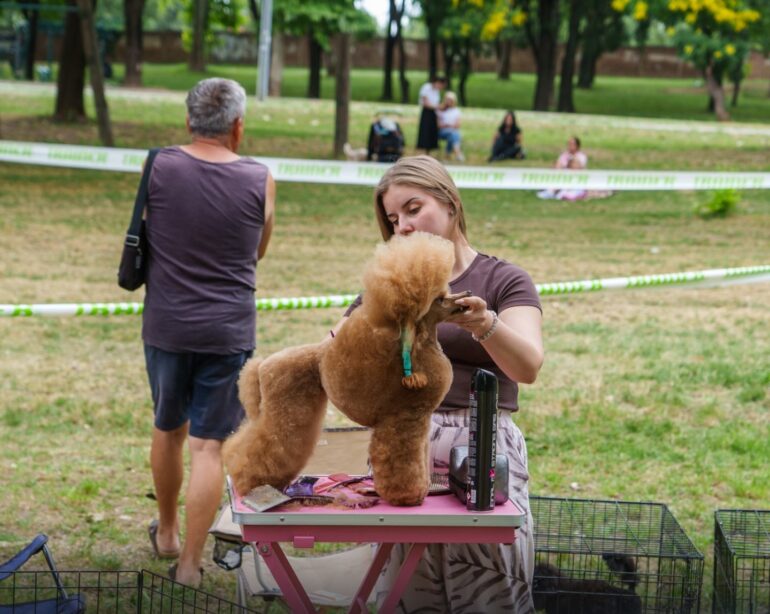 Izložba pasa svih rasa održana u Inđiji