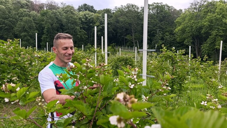 U carstvu ukusa, mirisa i boja