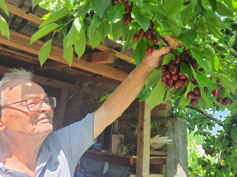 U poseti porodici Turan: Domaćini za primer