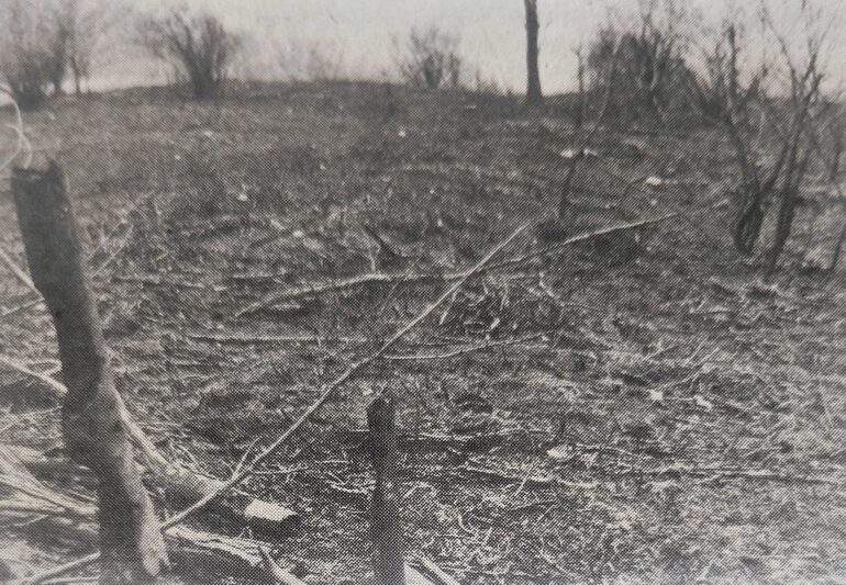 Kako je gorela Fruška gora (1989)