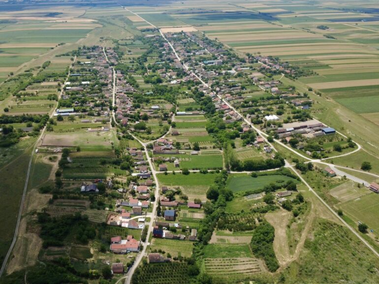 CENTAR ZA CARSKI NEKTAR (I): Loza po carskoj želji