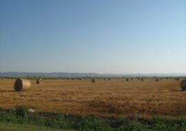 categories_image