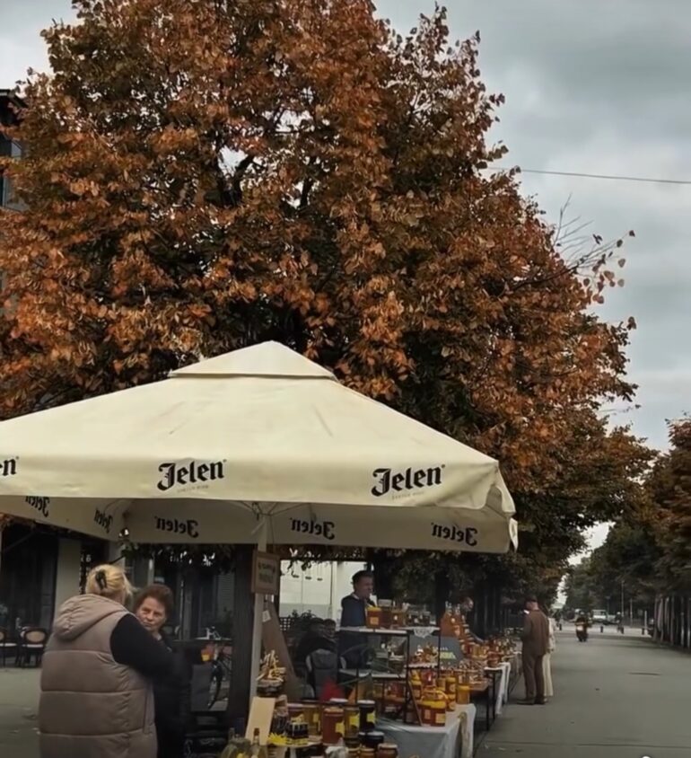 Održani 23. „Dani meda“ u Inđiji